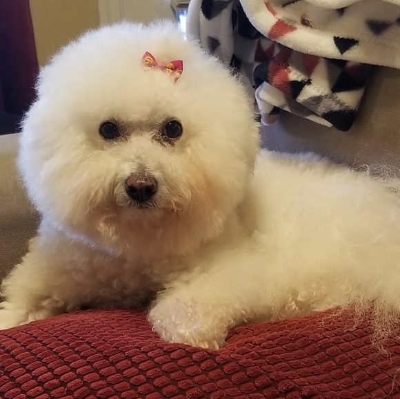 Meet your Posher, Karla - Picture 1 of 1